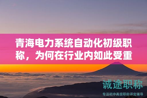 青海電力系統(tǒng)自動(dòng)化初級(jí)職稱，為何在行業(yè)內(nèi)如此受重視？