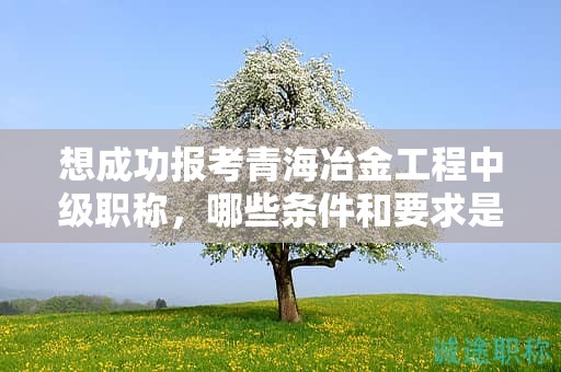 想成功報(bào)考青海冶金工程中級職稱，哪些條件和要求是必不可少的？