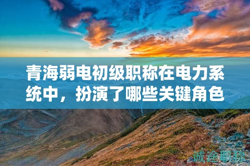 青海弱電初級(jí)職稱在電力系統(tǒng)中，扮演了哪些關(guān)鍵角色？