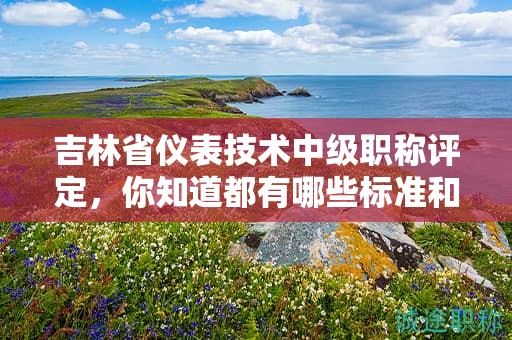 吉林省儀表技術(shù)中級職稱評定，你知道都有哪些標(biāo)準(zhǔn)和要點(diǎn)嗎？