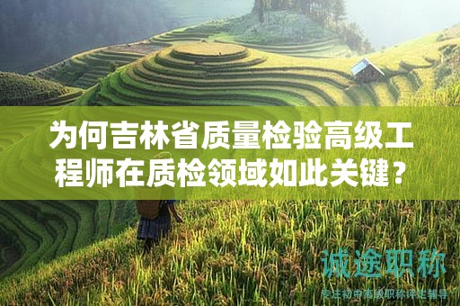 為何吉林省質(zhì)量檢驗(yàn)高級(jí)工程師在質(zhì)檢領(lǐng)域如此關(guān)鍵？