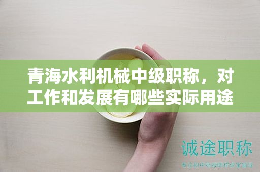 青海水利機械中級職稱，對工作和發(fā)展有哪些實際用途？