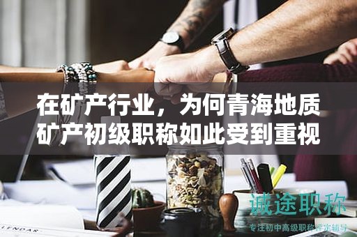 在礦產(chǎn)行業(yè)，為何青海地質(zhì)礦產(chǎn)初級職稱如此受到重視？