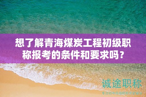想了解青海煤炭工程初級職稱報考的條件和要求嗎？