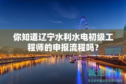 你知道遼寧水利水電初級(jí)工程師的申報(bào)流程嗎？
