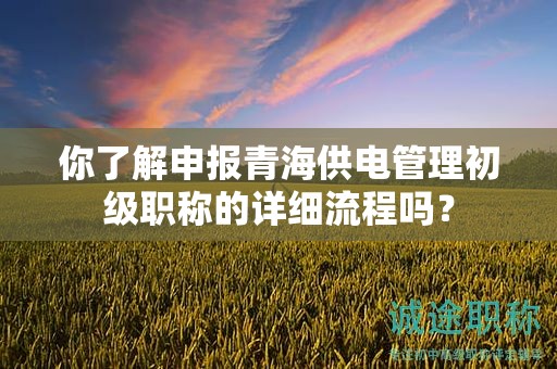 你了解申報青海供電管理初級職稱的詳細流程嗎？