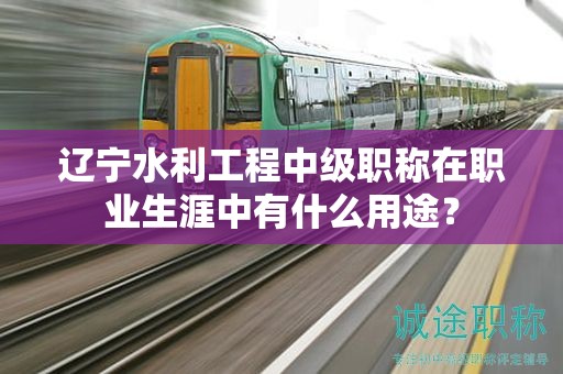 遼寧水利工程中級職稱在職業(yè)生涯中有什么用途？