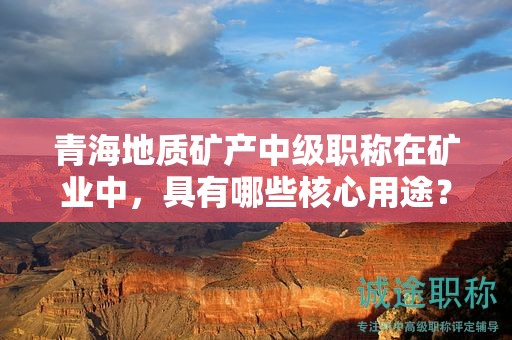 青海地質(zhì)礦產(chǎn)中級(jí)職稱(chēng)在礦業(yè)中，具有哪些核心用途？