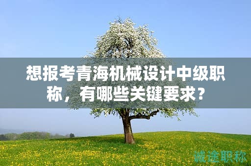 想報(bào)考青海機(jī)械設(shè)計(jì)中級(jí)職稱(chēng)，有哪些關(guān)鍵要求？