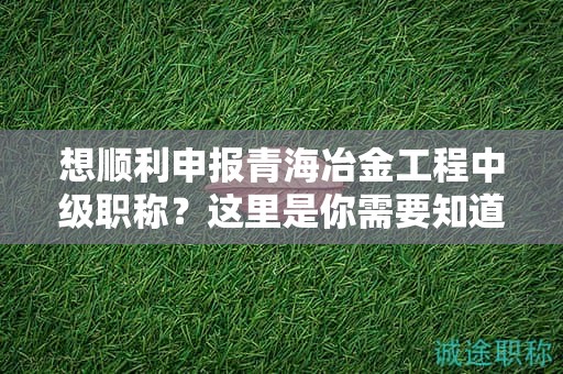 想順利申報(bào)青海冶金工程中級(jí)職稱(chēng)？這里是你需要知道的流程