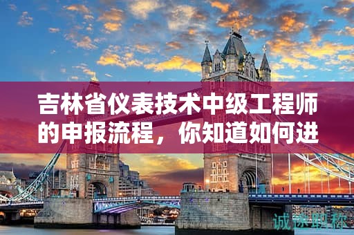 吉林省儀表技術(shù)中級(jí)工程師的申報(bào)流程，你知道如何進(jìn)行嗎？