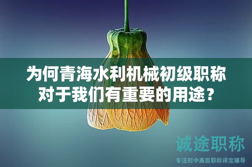 為何青海水利機(jī)械初級職稱對于我們有重要的用途？