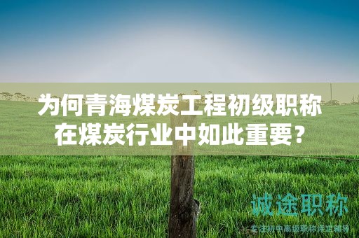 為何青海煤炭工程初級(jí)職稱在煤炭行業(yè)中如此重要？
