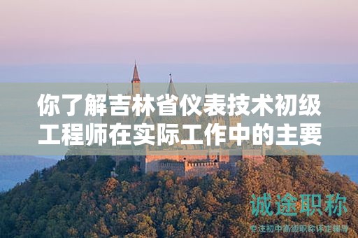 你了解吉林省儀表技術(shù)初級工程師在實際工作中的主要用途嗎？