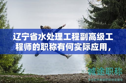 遼寧省水處理工程副高級(jí)工程師的職稱(chēng)有何實(shí)際應(yīng)用，它能為職業(yè)生涯加分嗎？