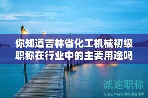 你知道吉林省化工機械初級職稱在行業(yè)中的主要用途嗎？