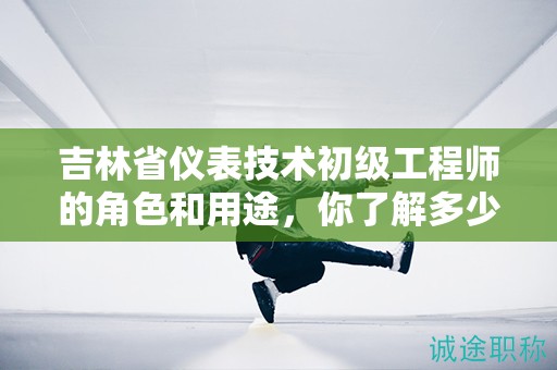吉林省儀表技術(shù)初級(jí)工程師的角色和用途，你了解多少？
