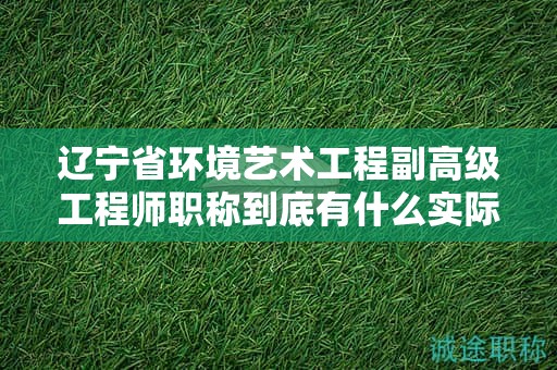 遼寧省環(huán)境藝術(shù)工程副高級(jí)工程師職稱(chēng)到底有什么實(shí)際用途，為何這么受歡迎？