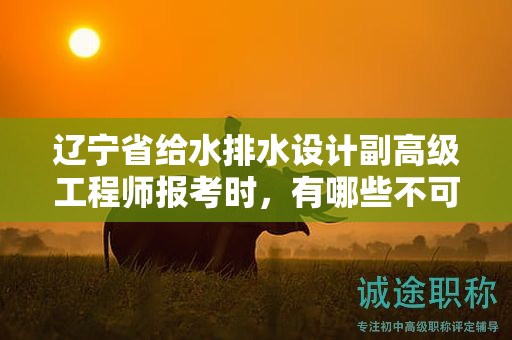 遼寧省給水排水設(shè)計副高級工程師報考時，有哪些不可忽視的條件和要求？