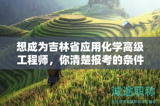 想成為吉林省應用化學高級工程師，你清楚報考的條件和要求嗎？