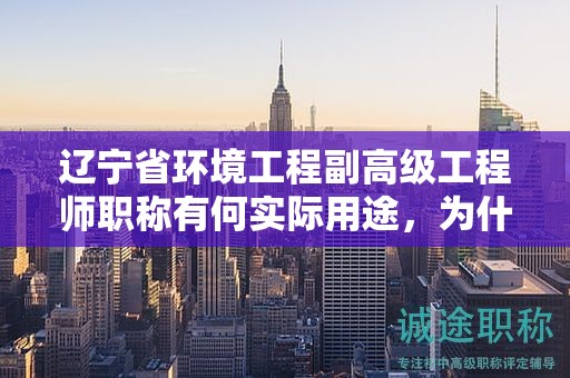 遼寧省環(huán)境工程副高級(jí)工程師職稱有何實(shí)際用途，為什么這么多人追求？