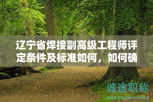 遼寧省焊接副高級(jí)工程師評(píng)定條件及標(biāo)準(zhǔn)如何，如何確保達(dá)標(biāo)？