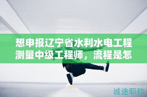 想申報(bào)遼寧省水利水電工程測量中級(jí)工程師，流程是怎樣的？