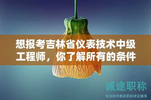 想報考吉林省儀表技術(shù)中級工程師，你了解所有的條件和要求嗎？