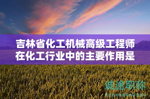 吉林省化工機(jī)械高級(jí)工程師在化工行業(yè)中的主要作用是什么？