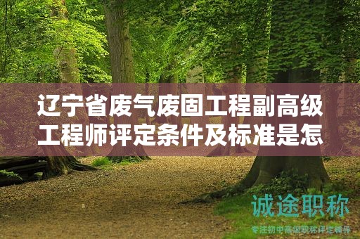 遼寧省廢氣廢固工程副高級工程師評定條件及標準是怎樣的，如何為之做好準備？
