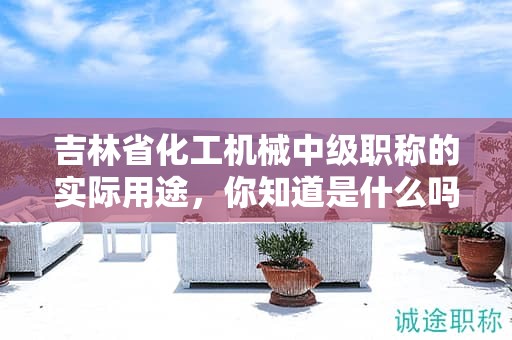 吉林省化工機械中級職稱的實際用途，你知道是什么嗎？