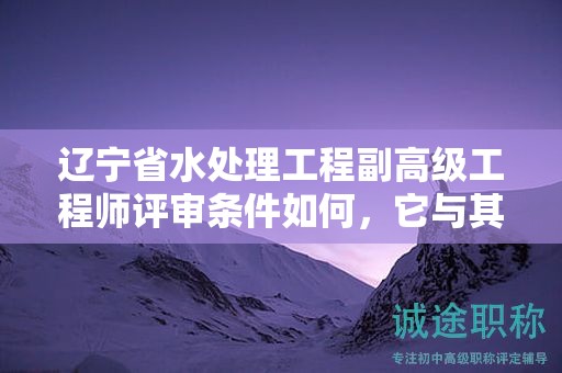 遼寧省水處理工程副高級工程師評審條件如何，它與其他工程師評審有何不同？