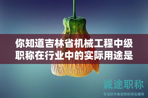 你知道吉林省機械工程中級職稱在行業(yè)中的實際用途是什么嗎？