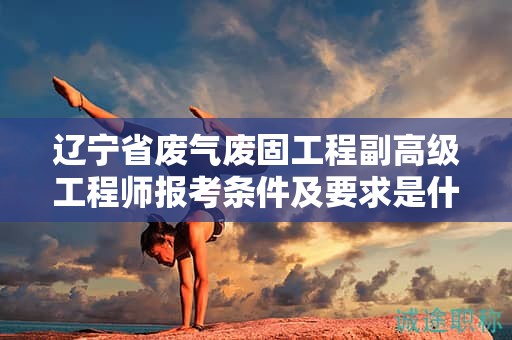 遼寧省廢氣廢固工程副高級(jí)工程師報(bào)考條件及要求是什么，如何確保成功報(bào)考？
