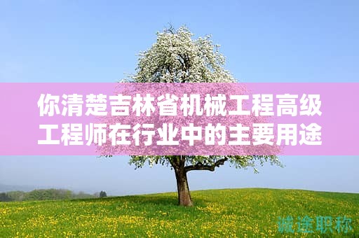 你清楚吉林省機械工程高級工程師在行業(yè)中的主要用途嗎？