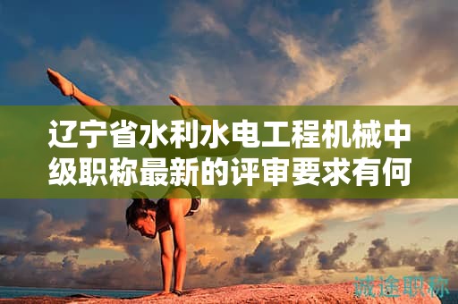 遼寧省水利水電工程機(jī)械中級(jí)職稱(chēng)最新的評(píng)審要求有何變化，如何應(yīng)對(duì)？