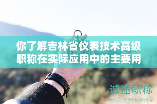 你了解吉林省儀表技術(shù)高級職稱在實際應(yīng)用中的主要用途嗎？