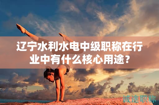 遼寧水利水電中級(jí)職稱在行業(yè)中有什么核心用途？