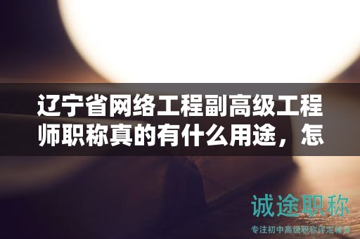 遼寧省網(wǎng)絡(luò)工程副高級(jí)工程師職稱真的有什么用途，怎樣為你的職業(yè)加分？
