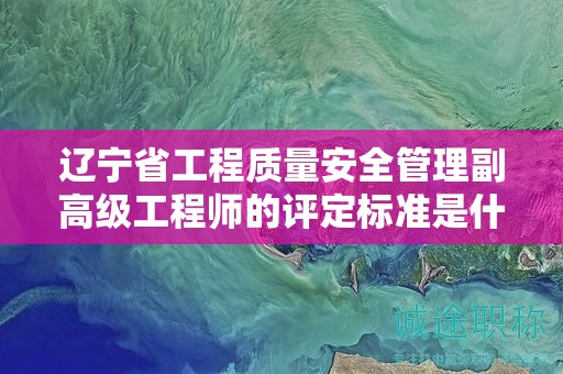 遼寧省工程質(zhì)量安全管理副高級工程師的評定標(biāo)準(zhǔn)是什么，怎樣更好地達標(biāo)？
