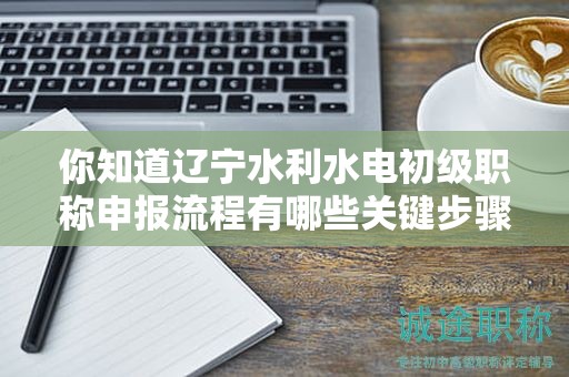 你知道遼寧水利水電初級(jí)職稱申報(bào)流程有哪些關(guān)鍵步驟嗎？