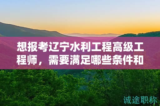 想報(bào)考遼寧水利工程高級(jí)工程師，需要滿足哪些條件和要求？