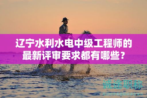 遼寧水利水電中級(jí)工程師的最新評(píng)審要求都有哪些？