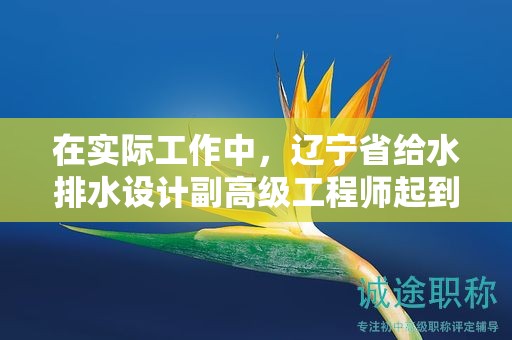 在實(shí)際工作中，遼寧省給水排水設(shè)計(jì)副高級(jí)工程師起到了哪些核心作用？