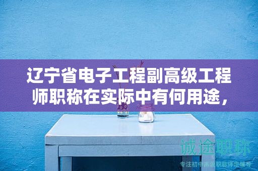 遼寧省電子工程副高級(jí)工程師職稱在實(shí)際中有何用途，它對(duì)你的職業(yè)生涯幫助大嗎？