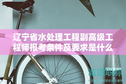 遼寧省水處理工程副高級(jí)工程師報(bào)考條件及要求是什么，如何確保順利報(bào)名？