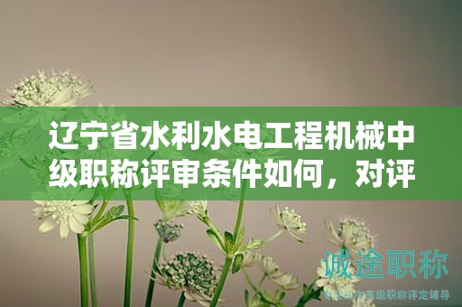 遼寧省水利水電工程機(jī)械中級職稱評審條件如何，對評定有何作用？
