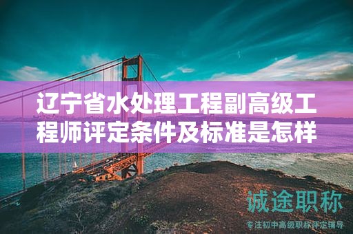 遼寧省水處理工程副高級工程師評定條件及標(biāo)準(zhǔn)是怎樣的，它對申請者有何影響？