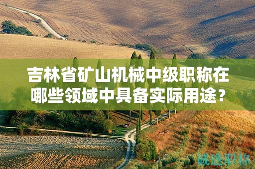 吉林省礦山機械中級職稱在哪些領(lǐng)域中具備實際用途？