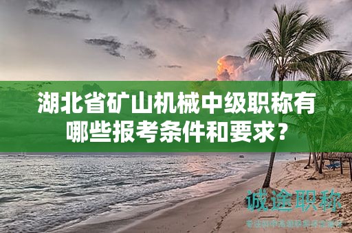 湖北省礦山機(jī)械中級職稱有哪些報(bào)考條件和要求？